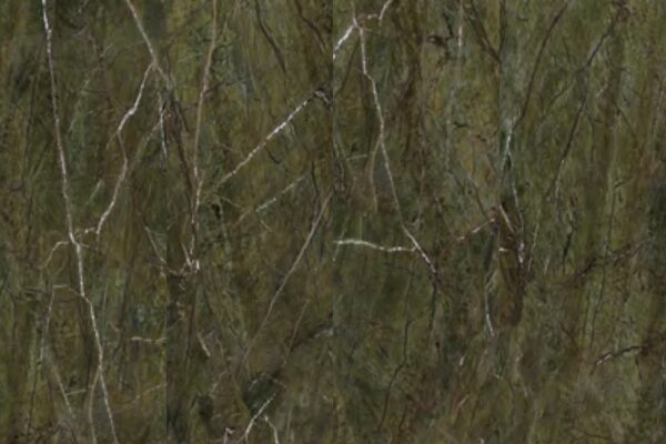Rainforest Green
