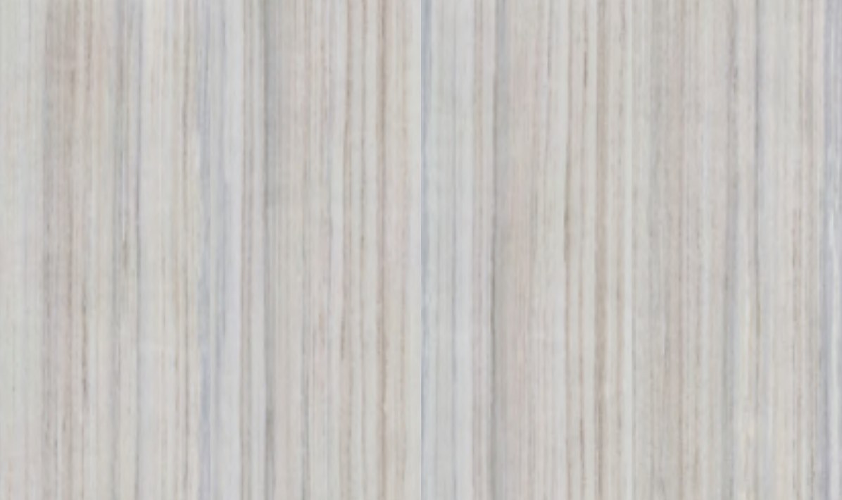 Petrified Wood - Image 2
