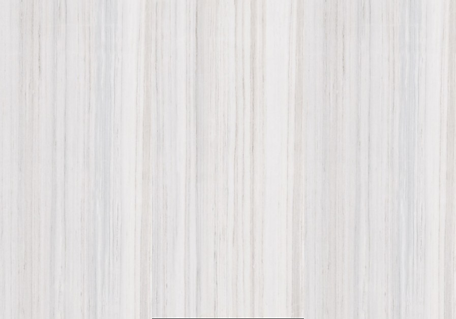 Petrified Wood - Image 3